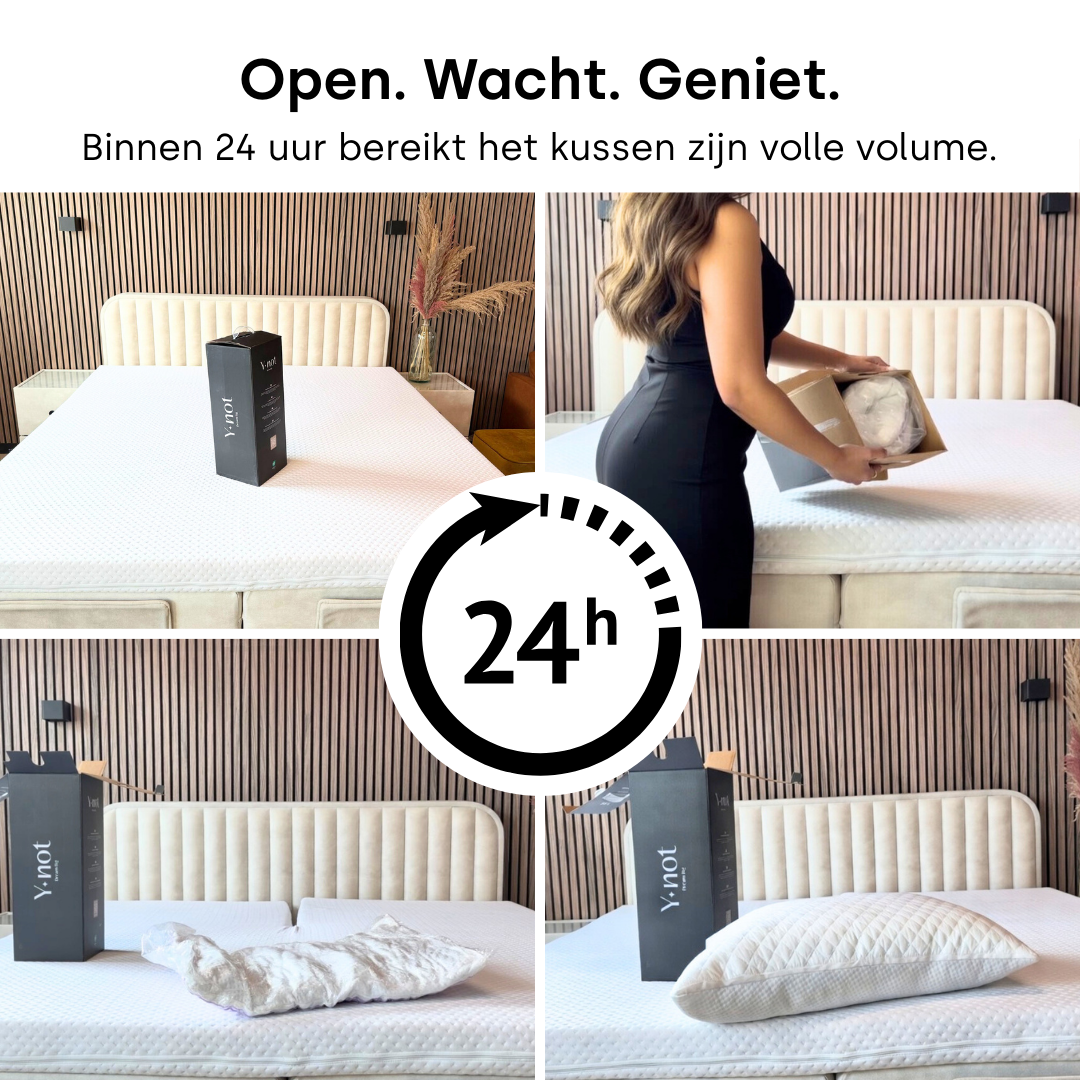 Y-NOT Dreampillow Latex