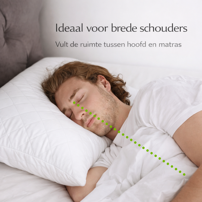 Y-NOT Dreampillow Latex