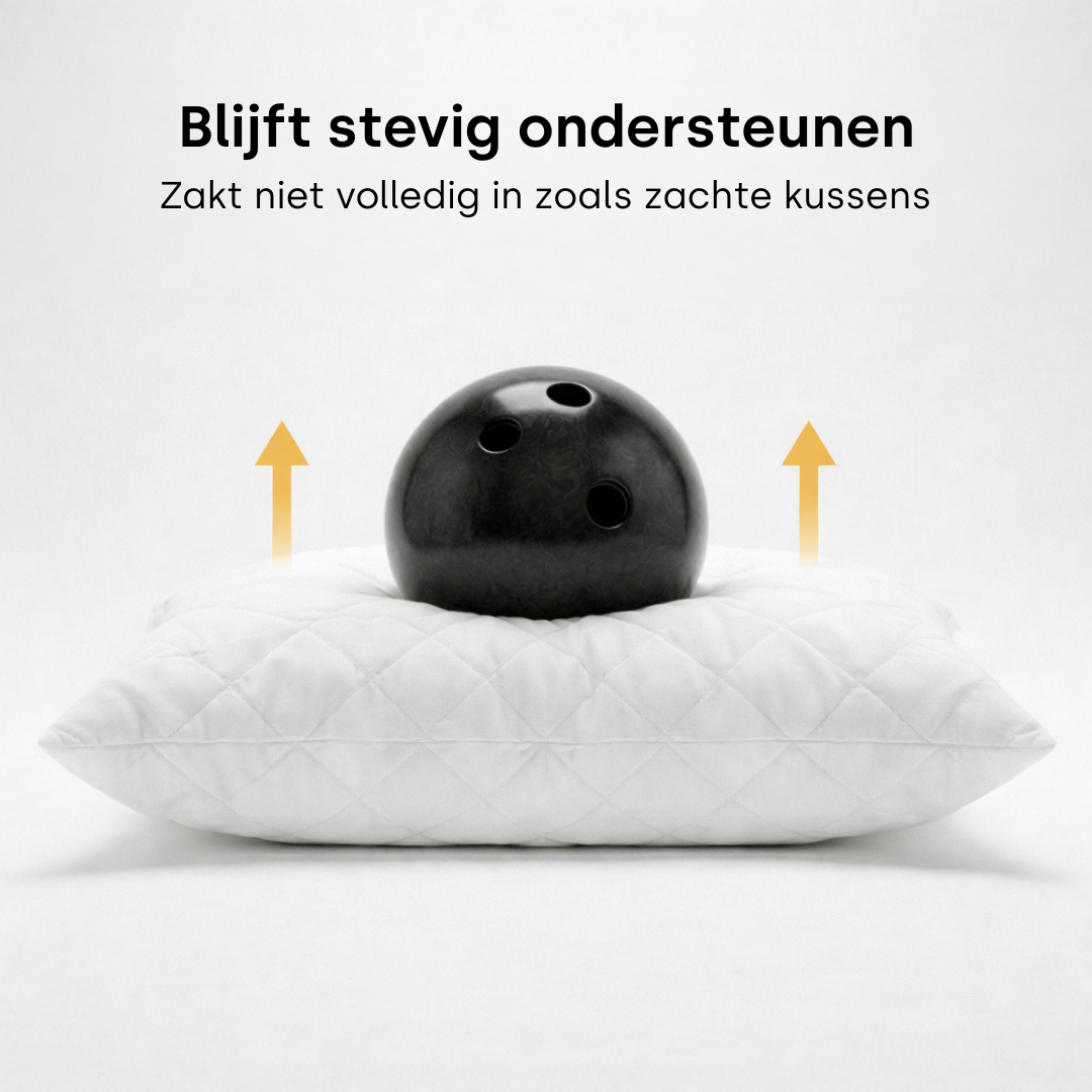 Y-NOT Dreampillow Latex