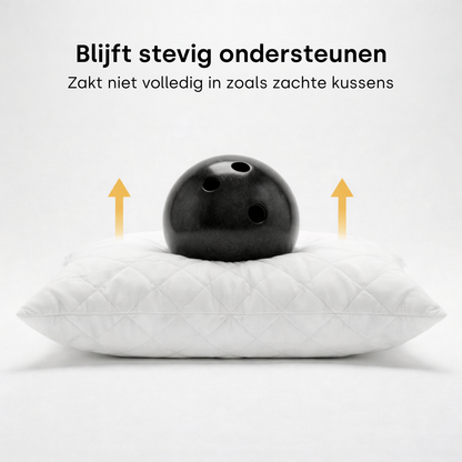 Y-NOT Dreampillow Latex