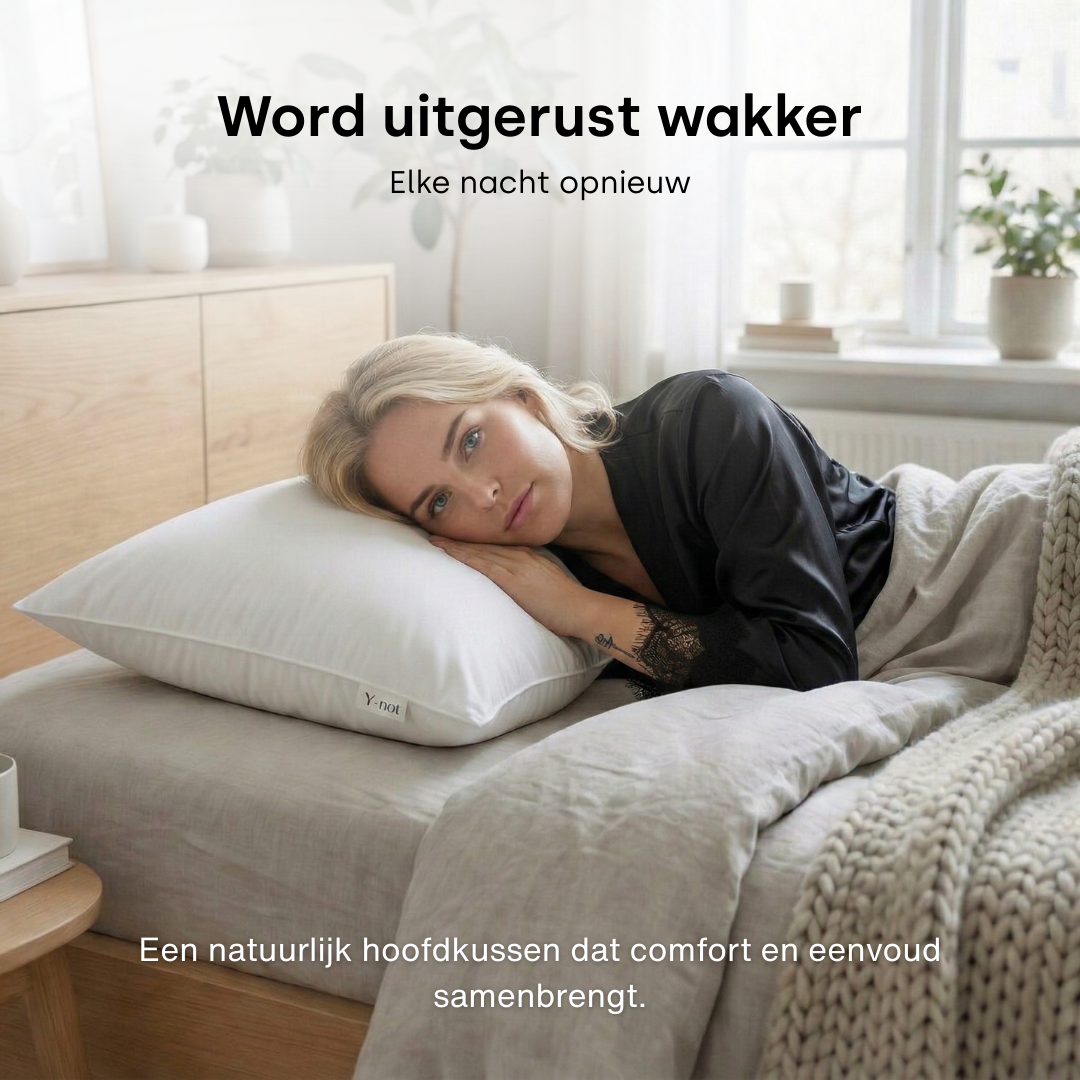 Y-NOT Dreampillow Percale